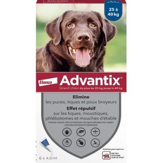 Chien Solution Antiparasitaire Grande Race 25 à 40kg 6 Pipettes
