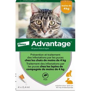 Solution Antipuce Chat Lapin 1 à 4kg 4 Pipettes