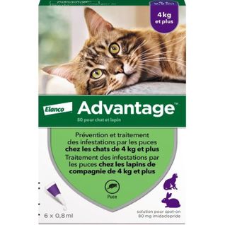 Solution Antipuce Chat Lapin +4kg 6 Pipettes