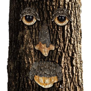 Visage Tronc D'arbre Esprit De La Nature