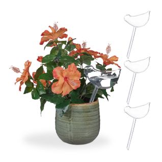 Lot De 12 Arrosoirs Automatiques Oiseaux