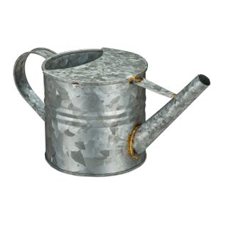Petit Arrosoir Métal