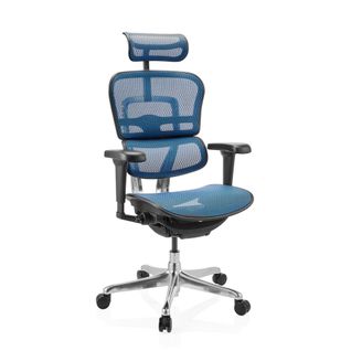 Siège De Direction De Luxe Ergohuman Ultra Gen2 Tissu Maille Bleu Avec Accoudoirs (réglables En