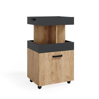 Caisson à Roulettes  37510 Chêne De Force Doré 50x88.6cm