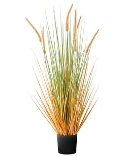 Plante Artificielle Bristlegrass 90 Cm Vert