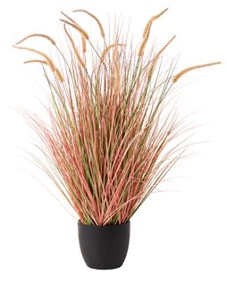 Plante Artificielle Bristlegrass 120 Cm Orange