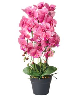 Plante Artificielle Orchid 65 Cm Rose