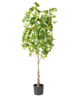 Plante Artificielle Ginkgo Tree 150 Cm Vert