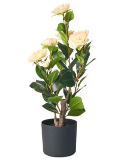 Plante Artificielle Camellia 60 Cm Vert