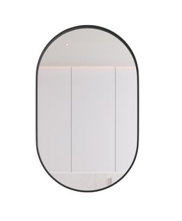 Armoire à Miroir Ovale Murale, Étagères Réglables, Salle De Bain, Noir