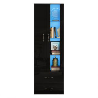 Vitrine Profil Mince Avec Porte Acrylique Et Porte En Panneau, 2 Portes, Étagères En Verre, Noir
