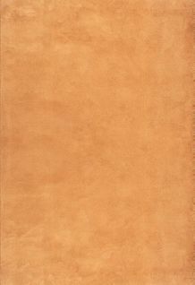 Tapis Moelleux Poils Courts, Antidérapant, Lavable, Soft, Terra, 60 X 110 Cm