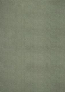 Tapis Moelleux Poils Courts, Antidérapant, Lavable, Soft, Forêt, 300 X 400 Cm