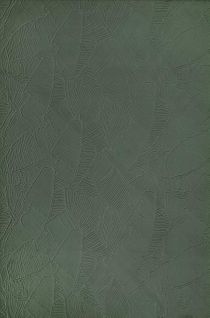 Tapis Rio Salon Antidérapant Feuilles, Forêt, 200x280 Cm