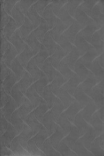 Tapis Rio Salon Antidérapant 3d, Anthracite, 200x280 Cm