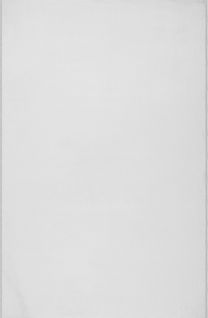 Tapis Cosy Moderne Fourrure Douillet Lavable, Blanc, 200x280 Cm