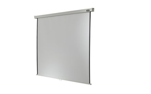 Ecran De Projection Celexon Manuel Pro 280 X 280 Cm