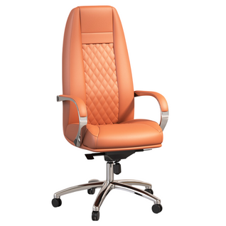 Chaise De Bureau Ergonomique Avec Roulettes Et Accoudoirs - Studio Marron