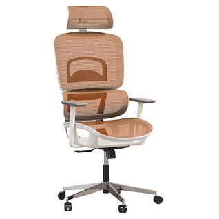 Chaise De Bureau Ergonomique Avec Roulettes Et Accoudoirs - Techas Orange