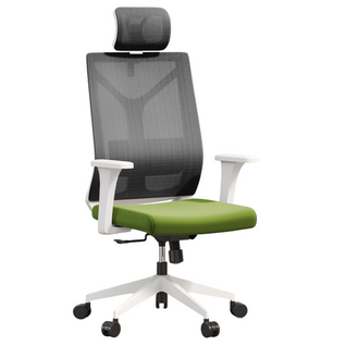 Chaise De Bureau Ergonomique Avec Roulettes Et Accoudoirs - Sembra Vert