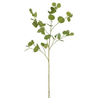 Fleur Artificielle "branche D'eucalyptus" 138cm Vert