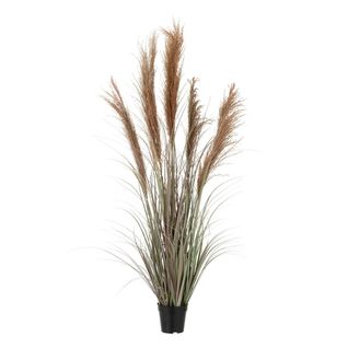 Herbe De Pampas Artificielle En Pot "5 Têtes" 147cm Vert et Orange