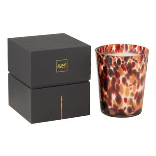 Bougie Parfumée "noa" 17cm Magnificient Birch