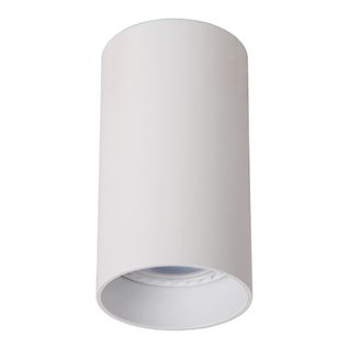 Delto Spot Plafond - Blanc - 1xgu10