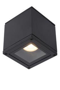 Aven Spot Plafond - Noir - 1xgu10