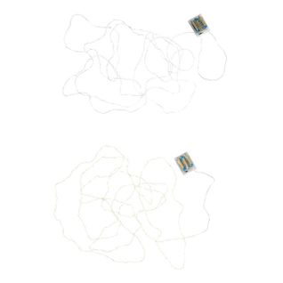 Lot De 2 Guirlandes Lumineuses "60 LED Blanc Chaud" 8cm Argent et Doré