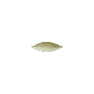 Assiette Laurier Feuille 17,8 X 5,7 Cm Riviera - Lot De 6 -
