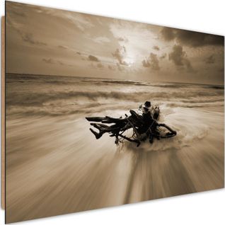 Tableau Branche De Bois Au Bord De La Mer 1 60 X 40 Cm Marron