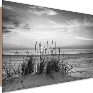 Tableau Bois Herbe Sur La Plage 2 60 X 40 Cm Gris