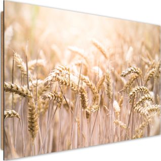 Tableau Bois Grain Au Soleil 60 X 40 Cm Beige