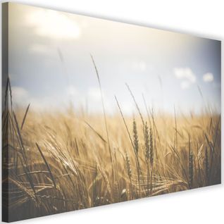 Tableau Maïs Au Soleil 3 120 X 80 Cm Beige