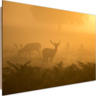 Tableau Bois Troupeau De Cerfs à L'aube 60 X 40 Cm Orange
