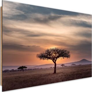 Tableau Bois Arbre Savane 90 X 60 Cm Orange