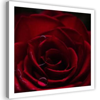 Tableau Rose Rouge 90 X 90 Cm Rouge