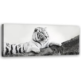 Tableau Le Tigre Vigilant 140 X 45 Cm Noir