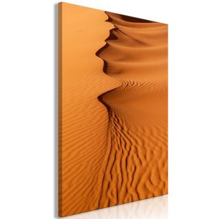 Tableau Sandy Shapes (1 Part) Vertical 40x60 Cm