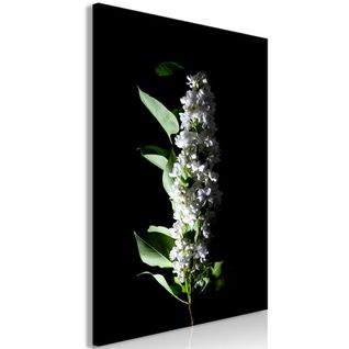 Tableau Fleurs White Lilacs (1 Part) Vertical 40x60 Cm