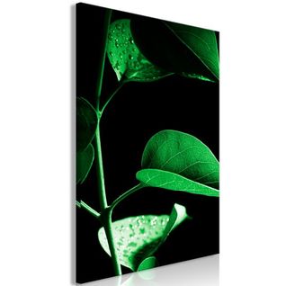 Tableau Fleurs Plant In Black (1 Part) Vertical 60x90 Cm