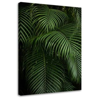 Tableau Feuilles De Palmier Vertes 60 X 80 Cm Vert