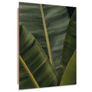 Tableau Bois Banane Plante Exotique 60 X 90 Cm Vert