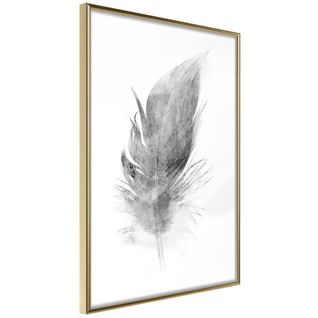 Affiche Murale Encadrée "lost Feather Grey" 40 X 60 Cm Doré