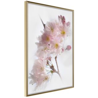 Affiche Murale Encadrée "scent Of Spring" 40 X 60 Cm Doré