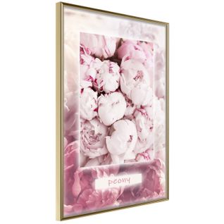 Affiche Murale Encadrée "scent Of Peonies" 30 X 42 Cm Doré