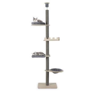 Arbre à Chat Ajustable Du Sol Au Plafond à 5 Niveaux Tour Pour Chats 236-271cm De Hauteur