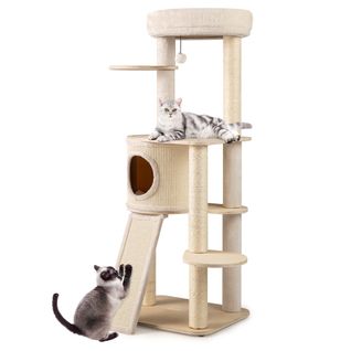 Arbre à Chat De 56cm Tour Pour Chaton En Bois Avec 2 Colonnes à Griffer En Sisal et Tapis et Échelle
