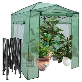 Serre De Jardin Portable Avec 2 Larges Fenêtres Pour Plantes Porte Enroulable à Double 180x250cm